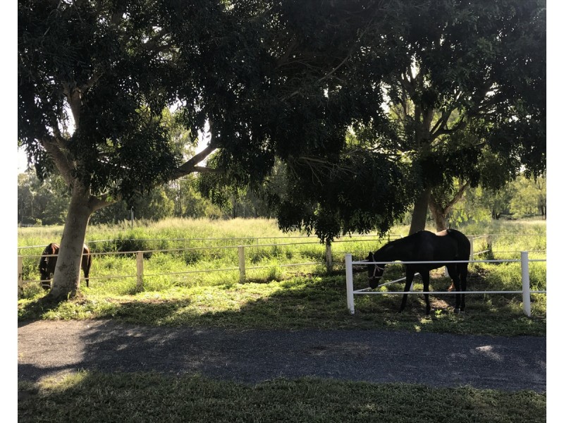 5 Bernard Street, Berserker QLD 4701