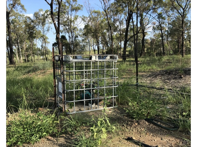 710 Upper Ulam Road, Bajool QLD 4699
