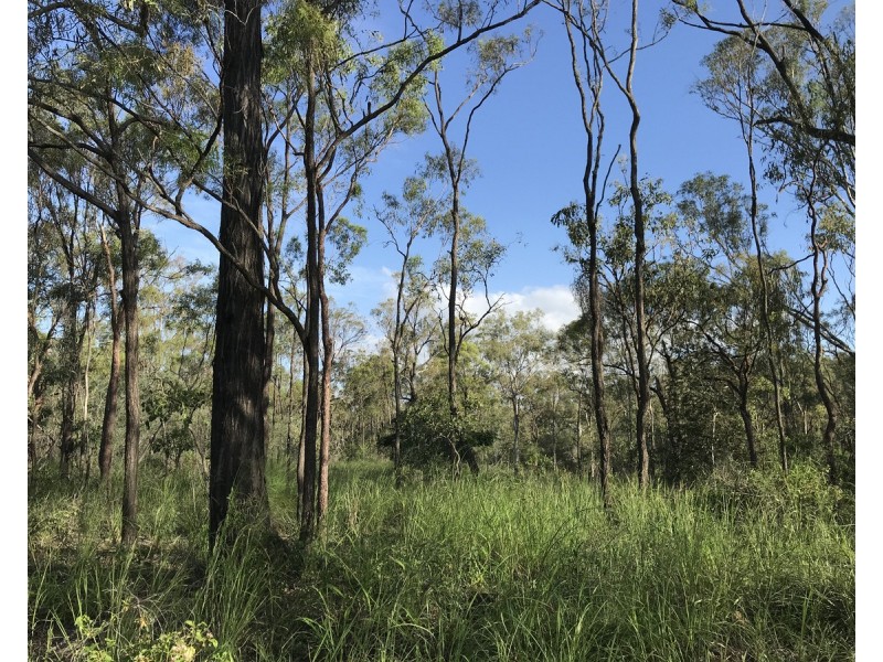 710 Upper Ulam Road, Bajool QLD 4699