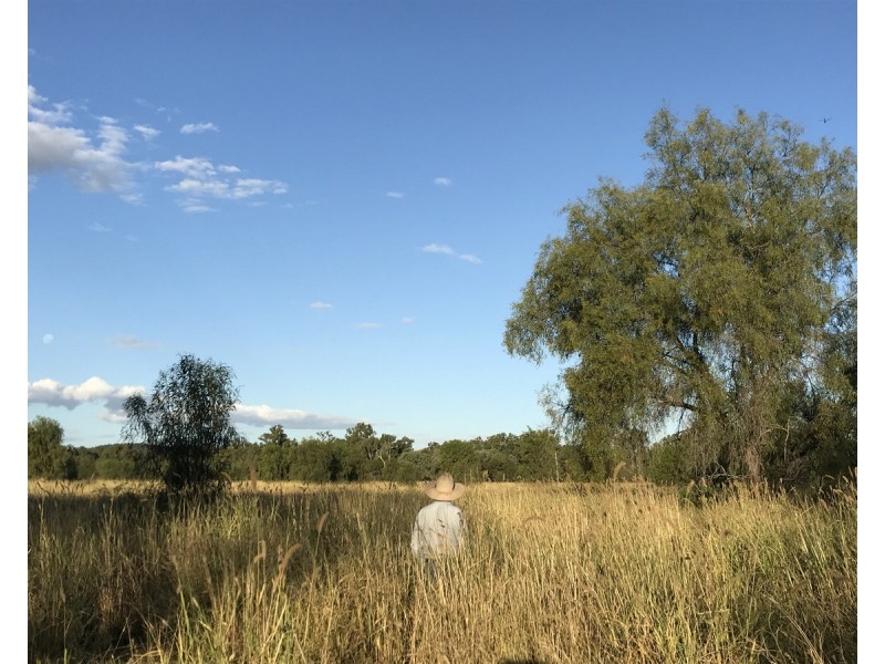 1581 Boolburra-Edungalba Road, Gogango QLD 4702