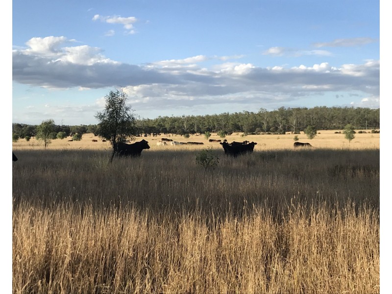 1581 Boolburra-Edungalba Road, Gogango QLD 4702