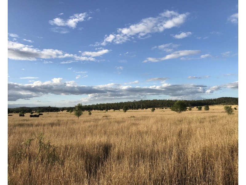 1581 Boolburra-Edungalba Road, Gogango QLD 4702