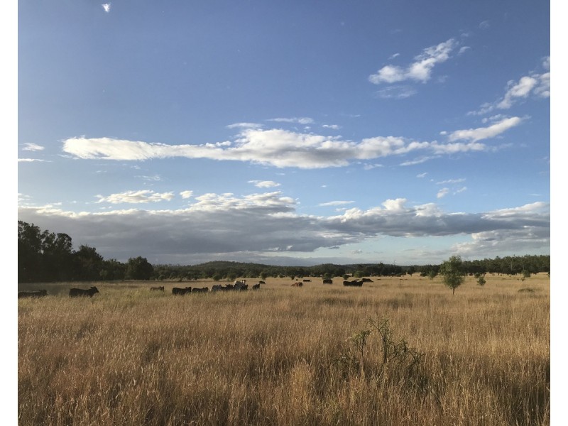 1581 Boolburra-Edungalba Road, Gogango QLD 4702