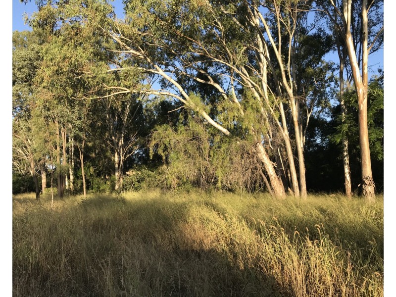 1581 Boolburra-Edungalba Road, Gogango QLD 4702