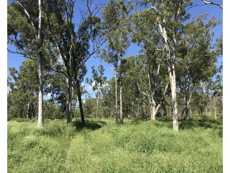 307 Connors Road, Stanwell QLD 4702