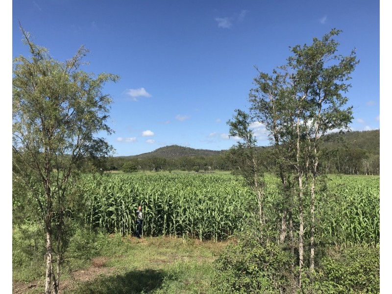 307 Connors Road, Stanwell QLD 4702