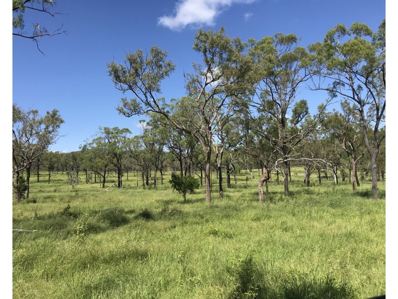 307 Connors Road, Stanwell QLD 4702