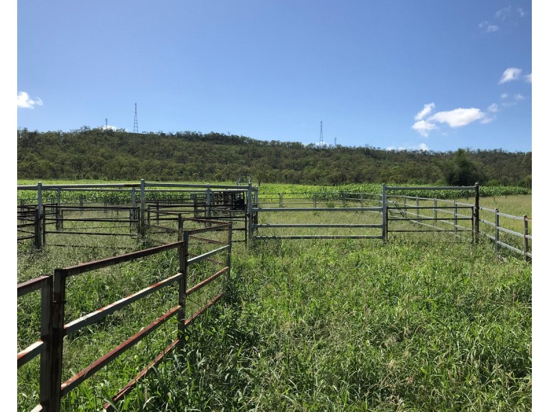 307 Connors Road, Stanwell QLD 4702