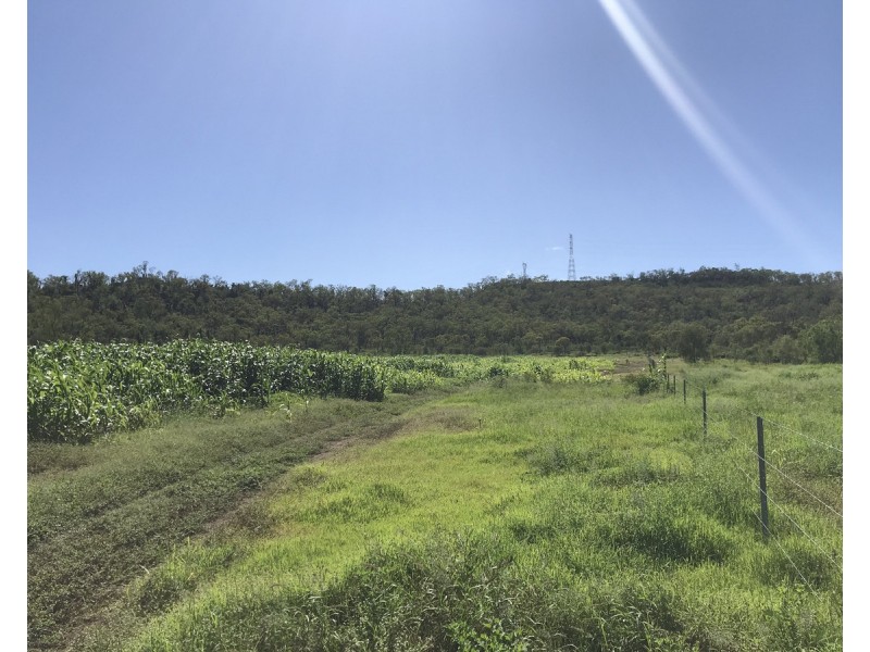 307 Connors Road, Stanwell QLD 4702