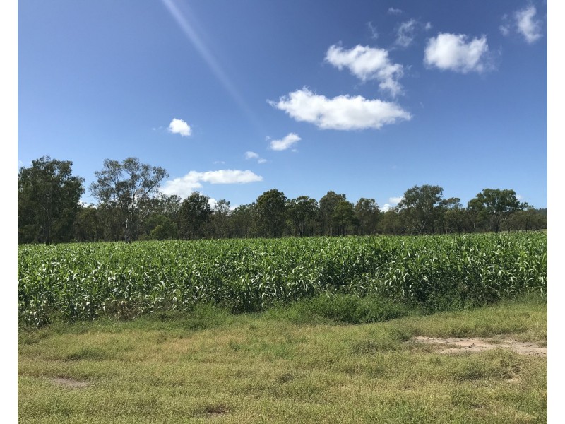 307 Connors Road, Stanwell QLD 4702