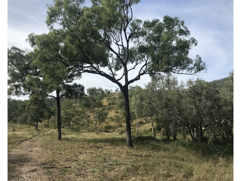 494 Yeppoon Road, Limestone Creek QLD 4701