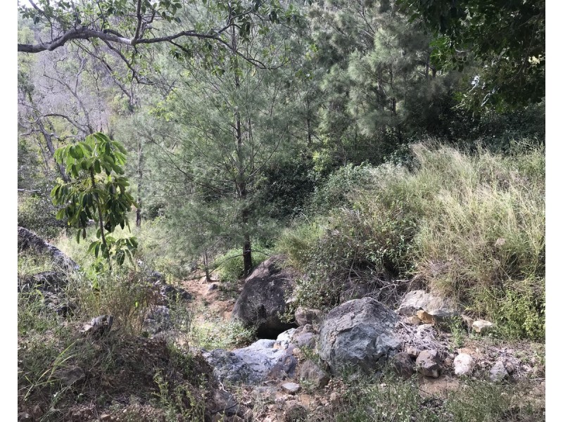 494 Yeppoon Road, Limestone Creek QLD 4701