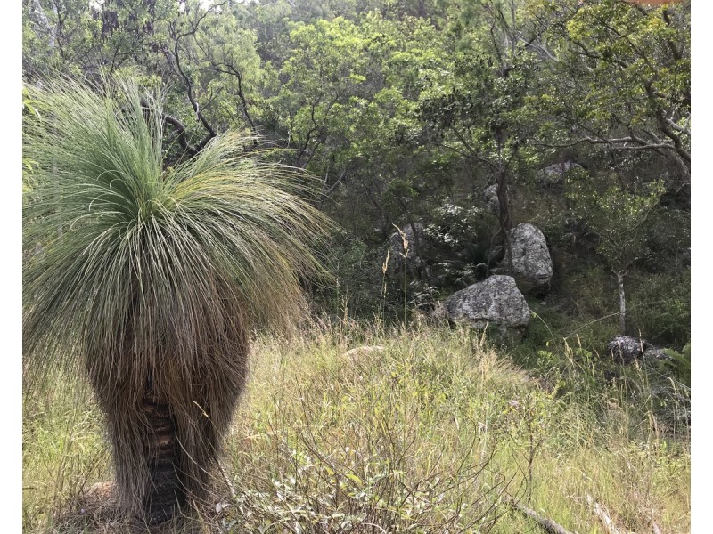 494 Yeppoon Road, Limestone Creek QLD 4701