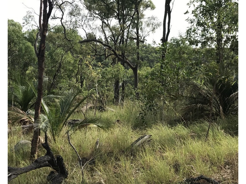 494 Yeppoon Road, Limestone Creek QLD 4701