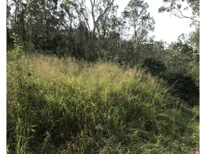 494 Yeppoon Road, Limestone Creek QLD 4701