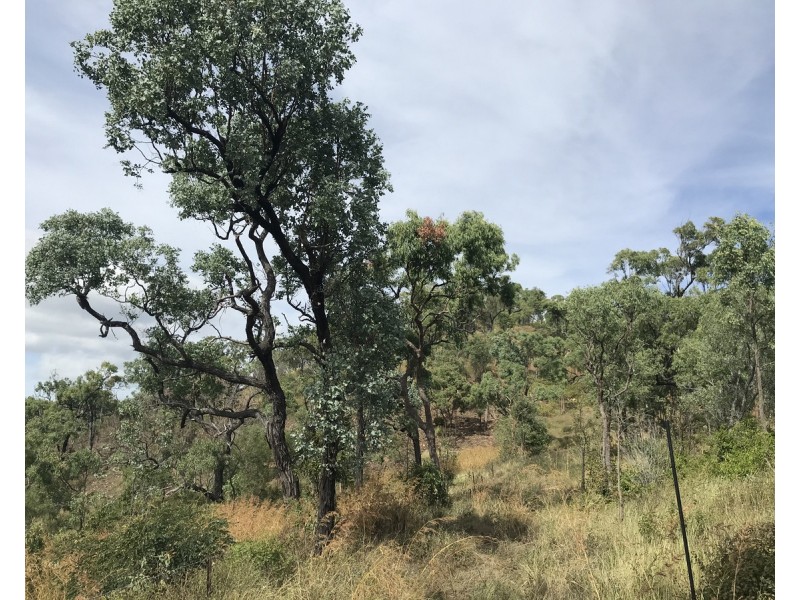 494 Yeppoon Road, Limestone Creek QLD 4701