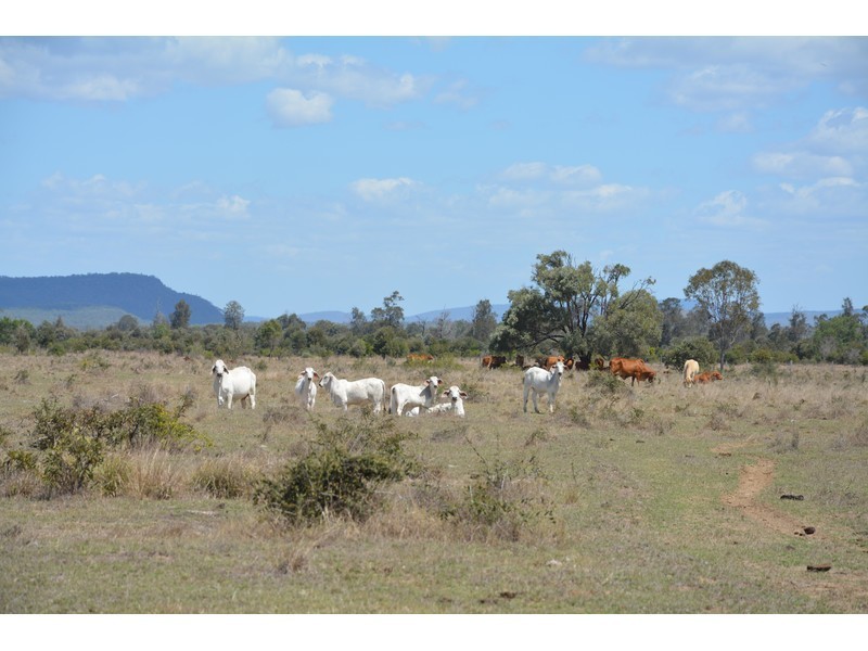 Ogmore Kooltandra Road, Ogmore QLD 4706