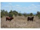 Ogmore Kooltandra Road, Ogmore QLD 4706