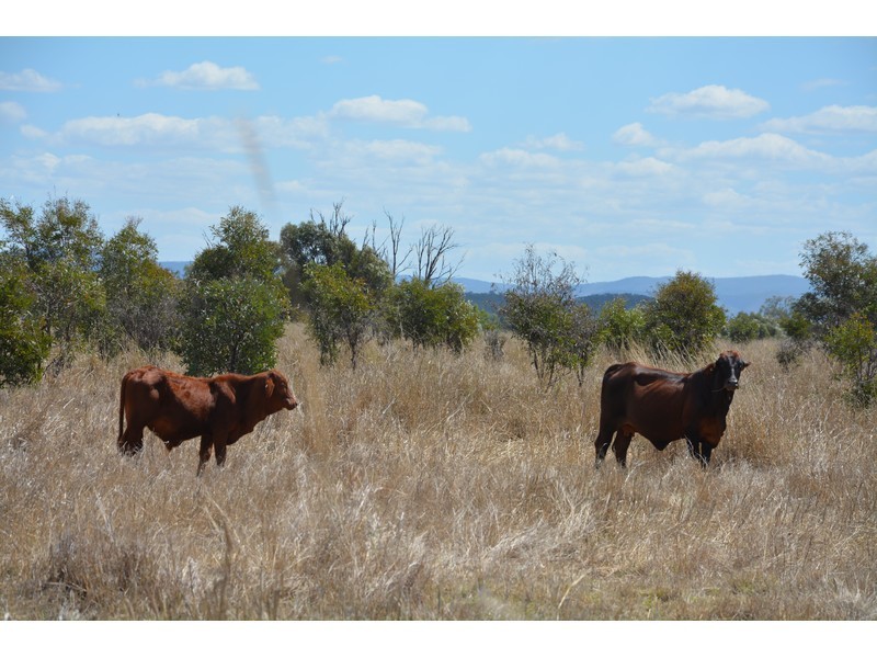 Ogmore Kooltandra Road, Ogmore QLD 4706