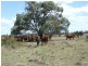 Ogmore Kooltandra Road, Ogmore QLD 4706