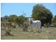 Ogmore Kooltandra Road, Ogmore QLD 4706