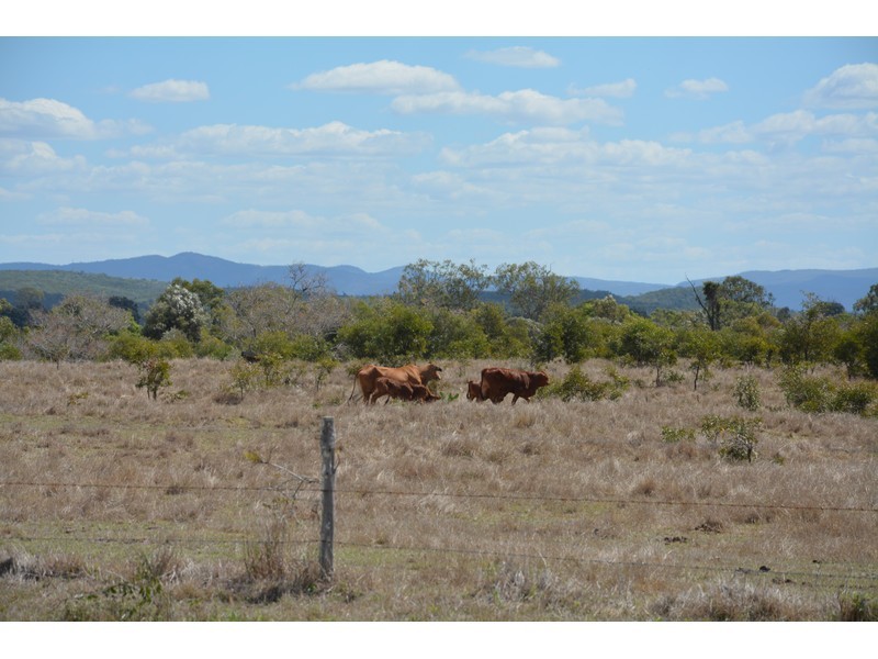 Ogmore Kooltandra Road, Ogmore QLD 4706