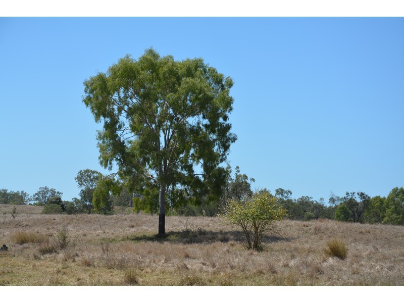 Ogmore Kooltandra Road, Ogmore QLD 4706