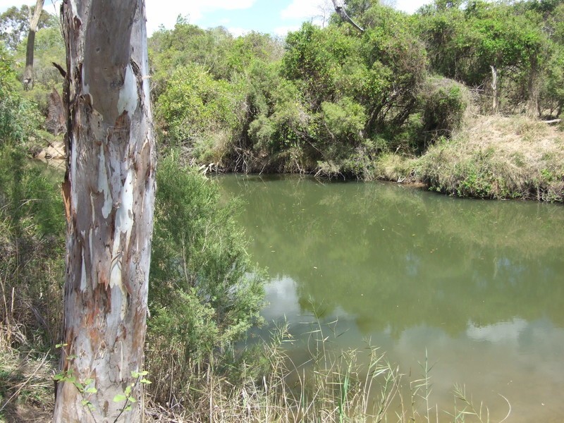 Ogmore Kooltandra Road, Ogmore QLD 4706