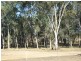 222 Del Rosa Road, Alton Downs QLD 4702