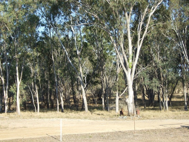 222 Del Rosa Road, Alton Downs QLD 4702