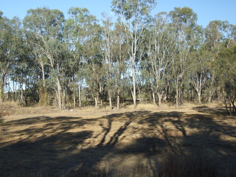 222 Del Rosa Road, Alton Downs QLD 4702