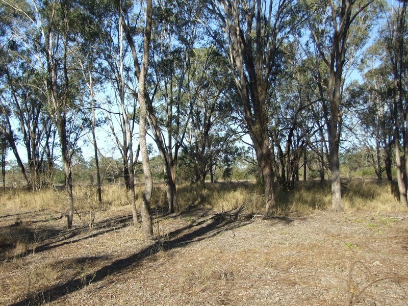 222 Del Rosa Road, Alton Downs QLD 4702