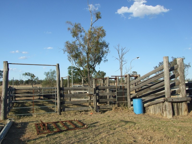 5 Spragg Road, Alton Downs QLD 4702