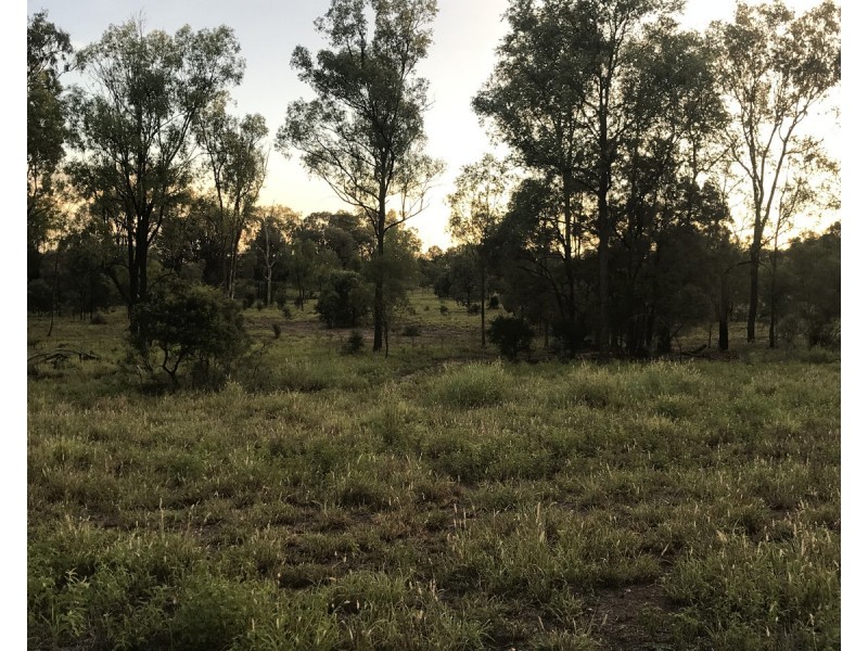 185 Alaire Drive, Theodore QLD 4719