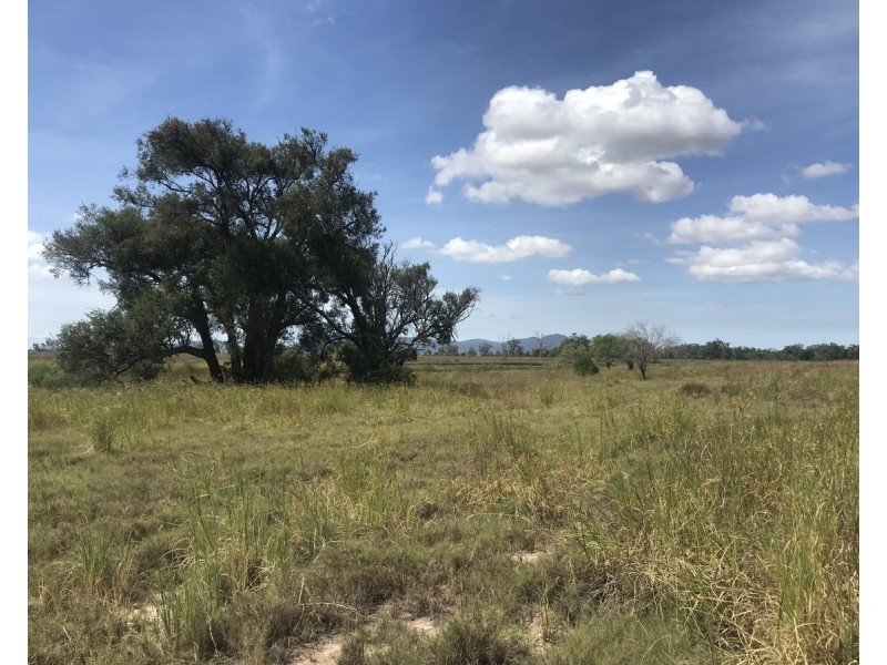 105 Watts Road, Gracemere QLD 4702