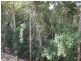 346 Archer Road, Struck Oil QLD 4714