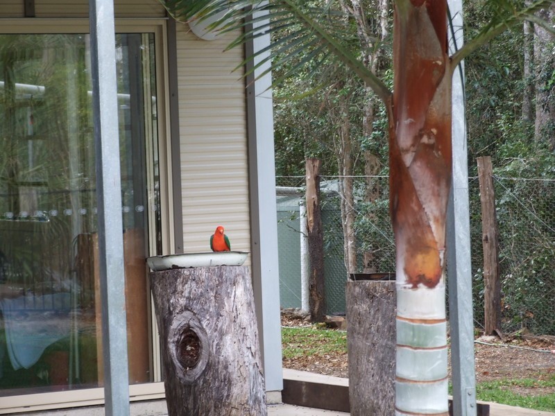 346 Archer Road, Struck Oil QLD 4714