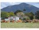 1258 Emu Park Road, Nankin QLD 4701
