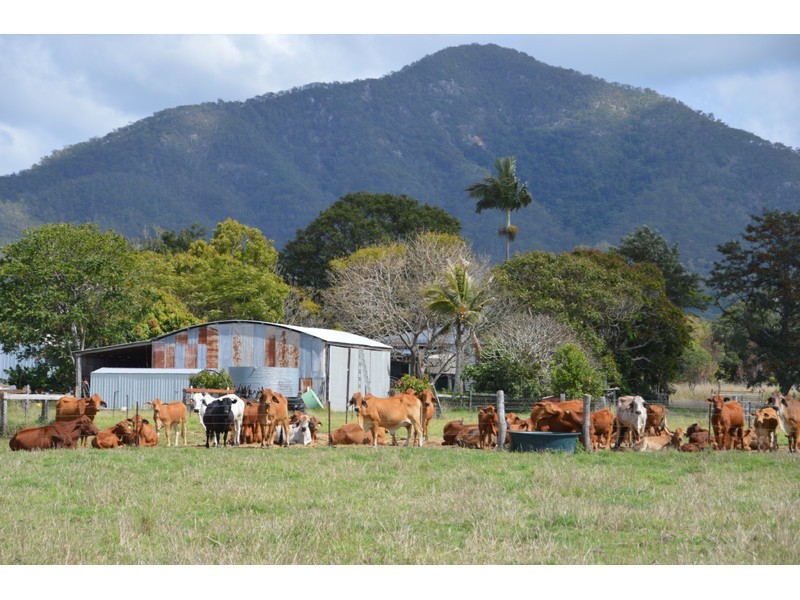 1258 Emu Park Road, Nankin QLD 4701