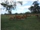 67 Kime Road, Midgee QLD 4702