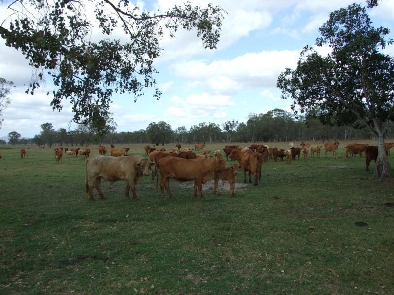 67 Kime Road, Midgee QLD 4702