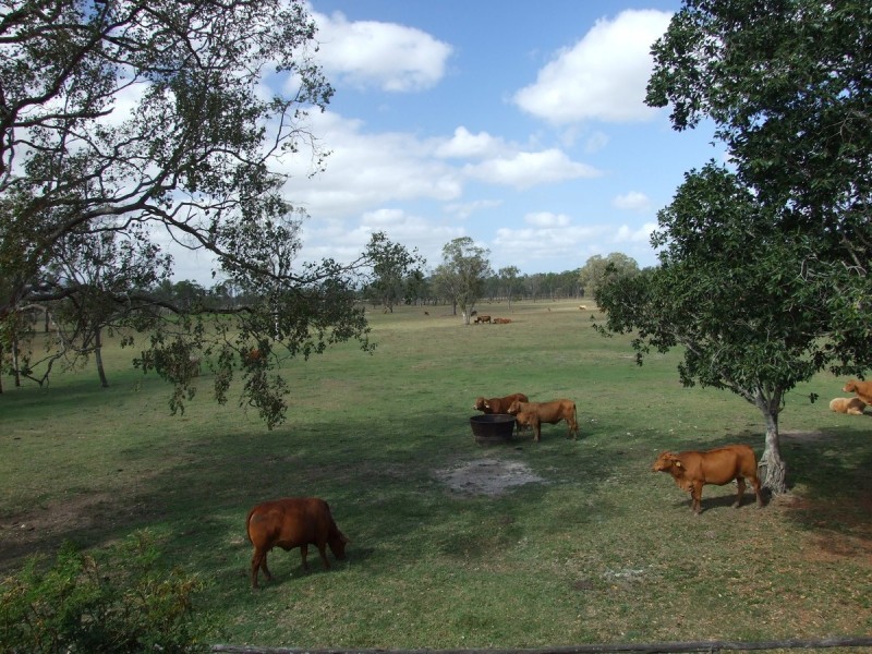 67 Kime Road, Midgee QLD 4702