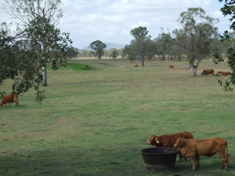 67 Kime Road, Midgee QLD 4702