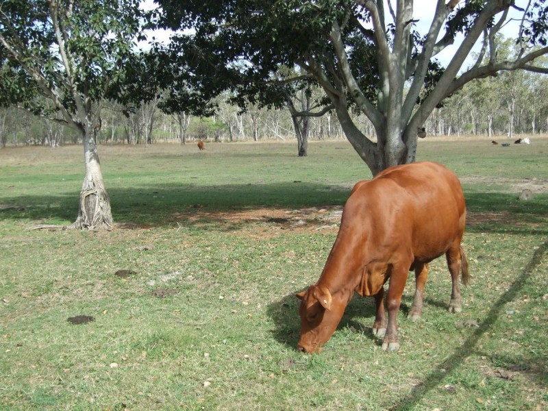 67 Kime Road, Midgee QLD 4702