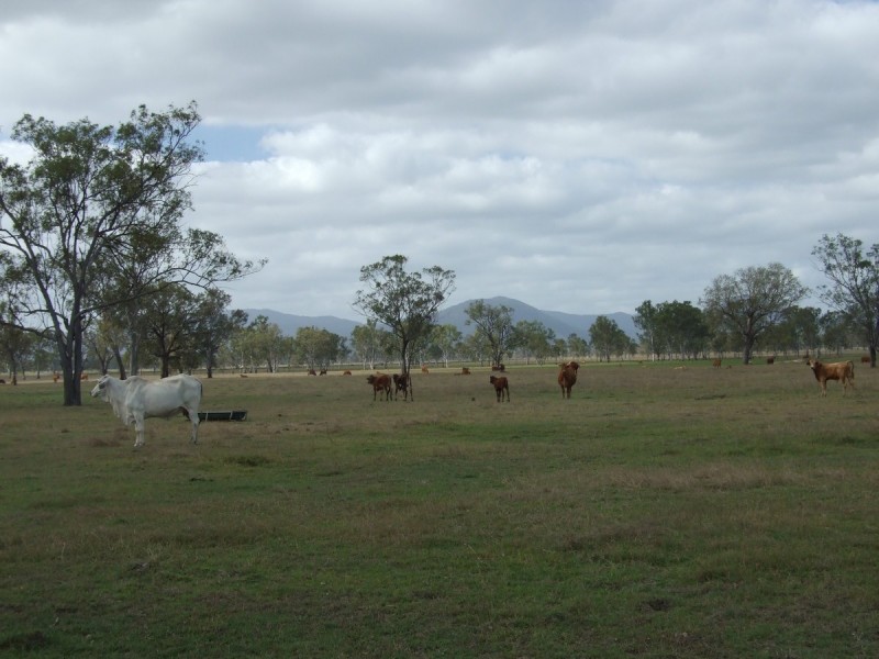 67 Kime Road, Midgee QLD 4702
