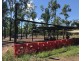 Raspberry Ck, Kunwarara QLD 4702