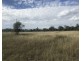 21 Colliver Road, Alton Downs QLD 4702