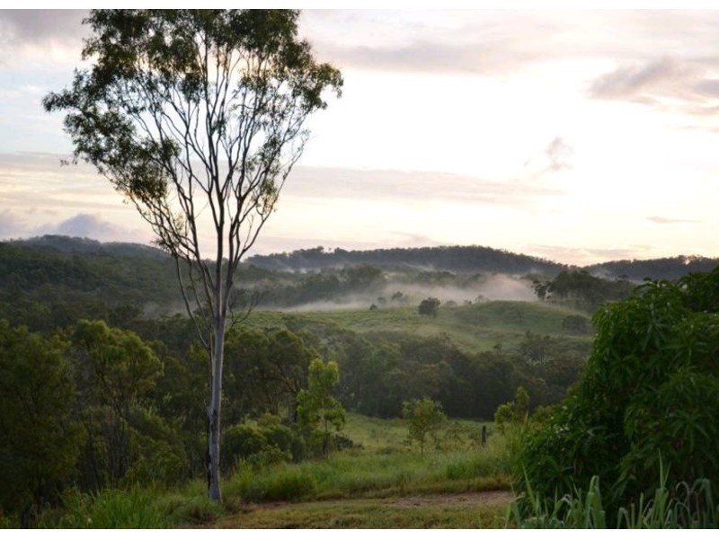 303 Bondoola Road, Bondoola QLD 4703