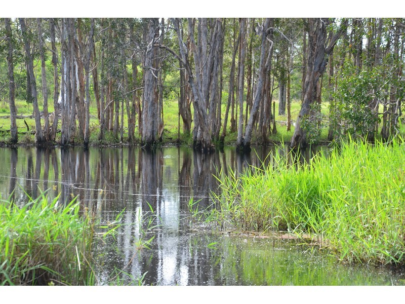 303 Bondoola Road, Bondoola QLD 4703