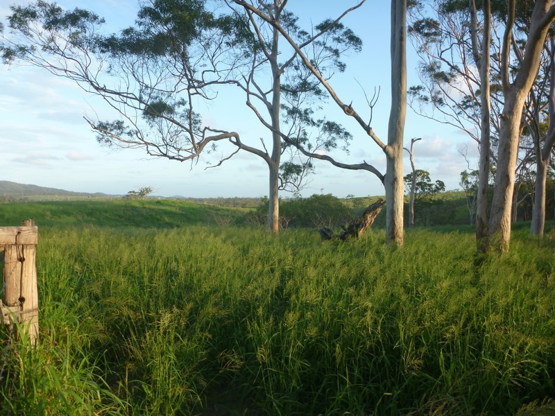303 Bondoola Road, Bondoola QLD 4703
